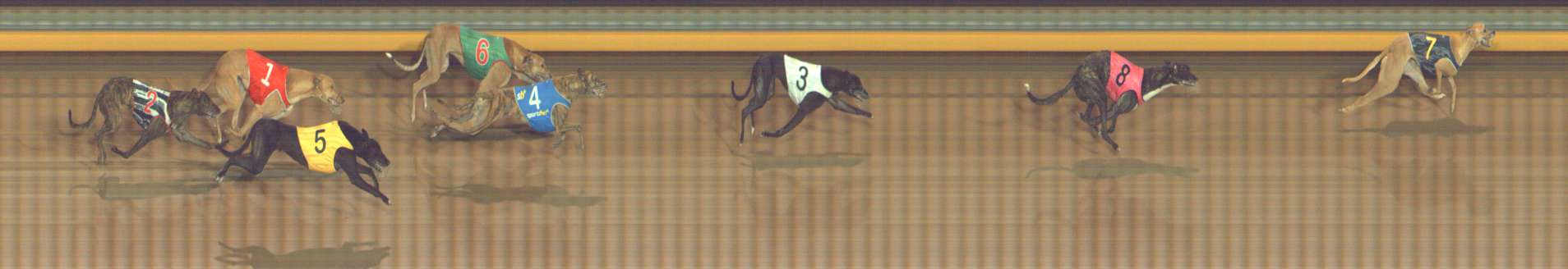 Race result finish photo